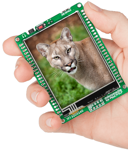 Multimedia Kartlar
