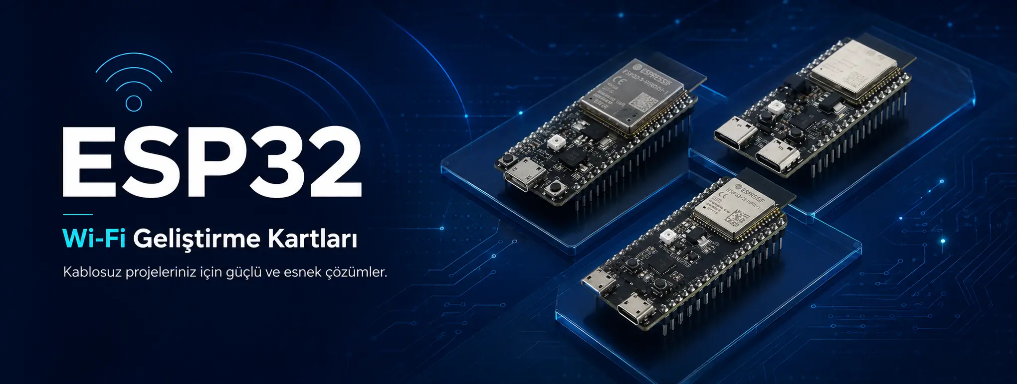 ESP32/ESP8266 geliştirme kartları elektrovadi.com'da!